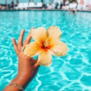 Meet your Posher, Diana!